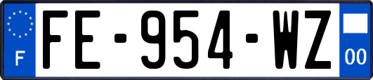 FE-954-WZ