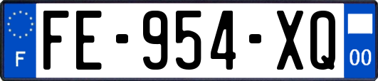 FE-954-XQ