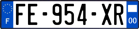FE-954-XR