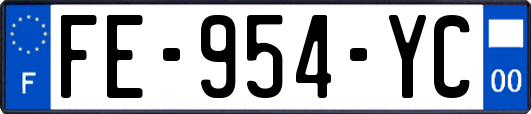 FE-954-YC