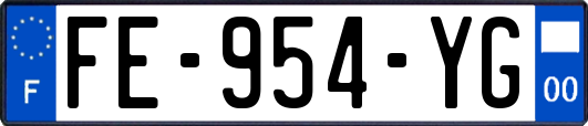 FE-954-YG