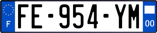 FE-954-YM