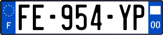 FE-954-YP