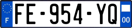 FE-954-YQ