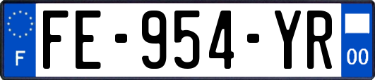 FE-954-YR