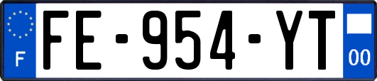 FE-954-YT