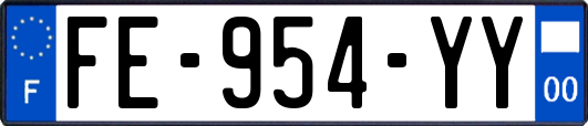 FE-954-YY