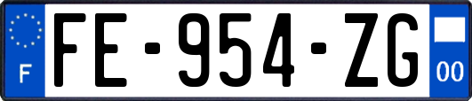 FE-954-ZG