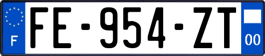 FE-954-ZT