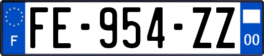 FE-954-ZZ