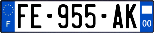 FE-955-AK
