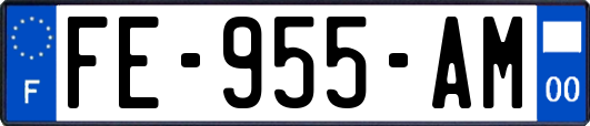 FE-955-AM