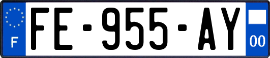 FE-955-AY