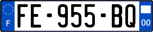 FE-955-BQ