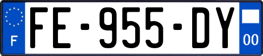 FE-955-DY