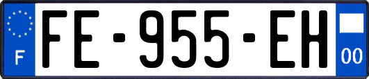 FE-955-EH