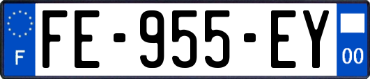FE-955-EY