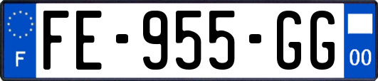 FE-955-GG