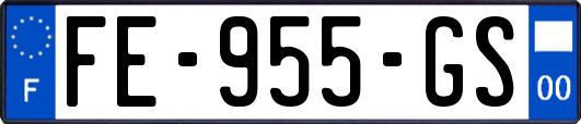 FE-955-GS