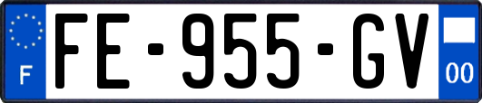FE-955-GV