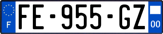 FE-955-GZ