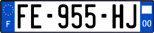 FE-955-HJ