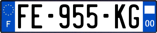 FE-955-KG