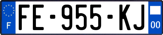 FE-955-KJ