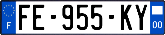 FE-955-KY