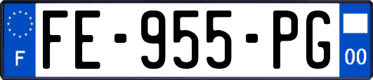 FE-955-PG