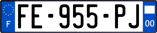 FE-955-PJ