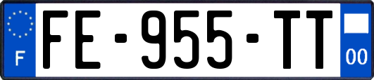 FE-955-TT