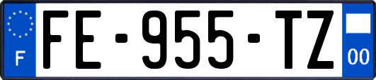 FE-955-TZ