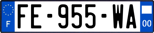 FE-955-WA