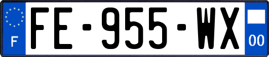 FE-955-WX