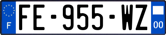 FE-955-WZ