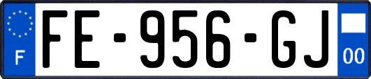 FE-956-GJ