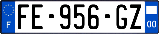 FE-956-GZ