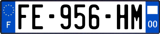 FE-956-HM