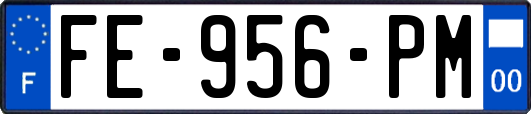 FE-956-PM