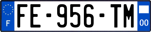 FE-956-TM