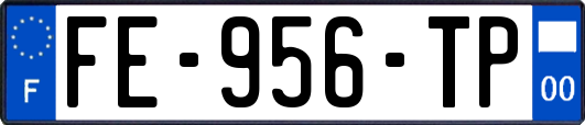 FE-956-TP