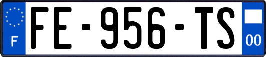 FE-956-TS