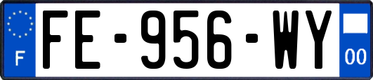 FE-956-WY