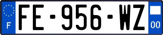 FE-956-WZ