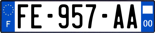 FE-957-AA