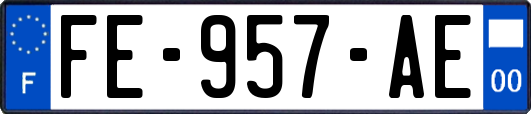 FE-957-AE