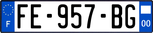 FE-957-BG
