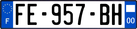 FE-957-BH