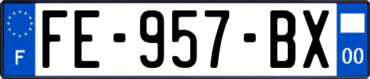 FE-957-BX